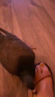 Holly Conrad feet photo 12