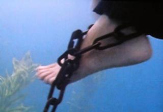 Holly Marie Combs feet photo thumbnail