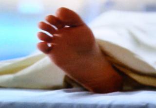 Holly Marie Combs feet photo thumbnail