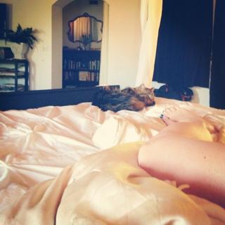 Holly Marie Combs feet photo thumbnail