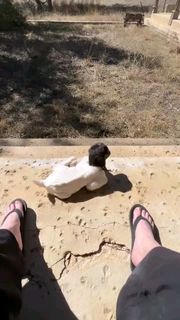 Holly Marie Combs feet photo 4