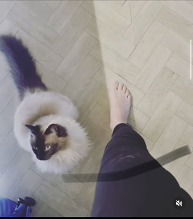 Holly Willoughby feet photo thumbnail