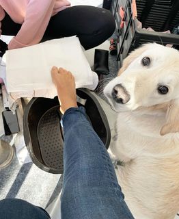 Holly Willoughby feet photo thumbnail