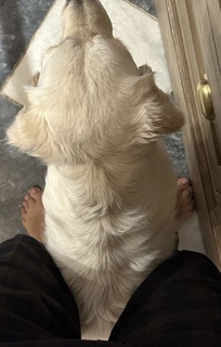 Holly Willoughby feet photo thumbnail