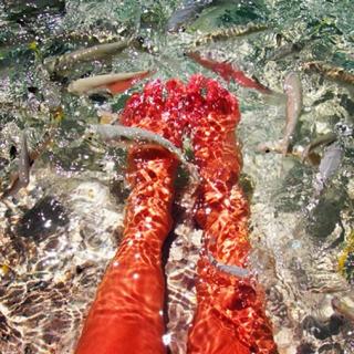 Hope Dworaczyk feet photo 2