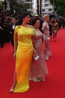 Horeya Farghaly feet photo 2