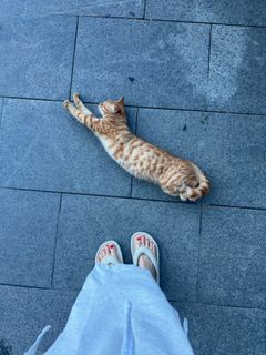 Hoyeon feet photo thumbnail