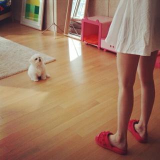 Hyuna feet photo thumbnail
