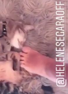 Hélène Ségara feet photo 5