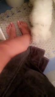 Iaia de Rose feet photo 9