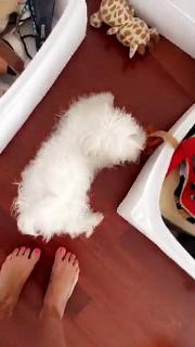 Iaia de Rose feet photo 16