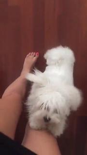 Iaia de Rose feet photo 12