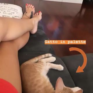 Iaia de Rose feet photo 9