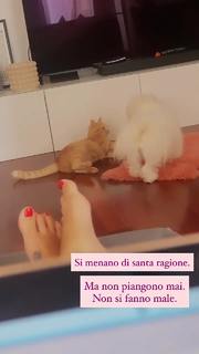 Iaia de Rose feet photo 10