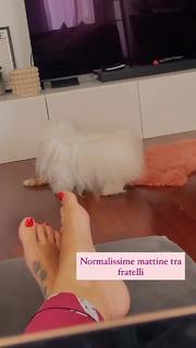 Iaia de Rose feet photo 7