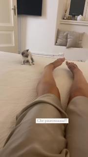 Iaia de Rose feet photo 6