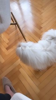 Iaia de Rose feet photo 5