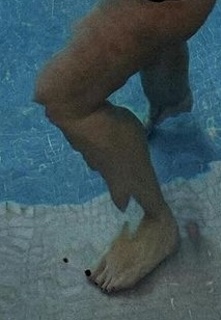 Iaia de Rose feet photo 3
