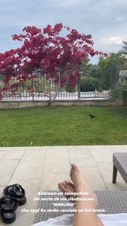 Iaia de Rose feet photo 7
