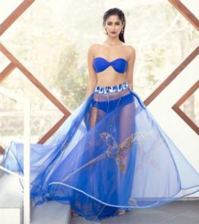 Ileana D'Cruz feet photo thumbnail