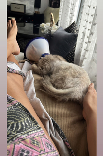 Ileana D'Cruz feet photo thumbnail
