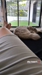 Ileana D'Cruz feet photo thumbnail