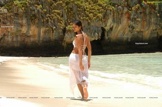 Ileana D'Cruz feet photo thumbnail