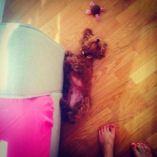 Ilenia Lazzarin feet photo 4