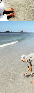Ilhan Omar feet photo 1