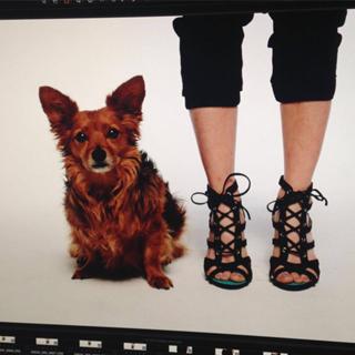 Iliza Shlesinger feet photo thumbnail