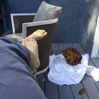 Iliza Shlesinger feet photo thumbnail