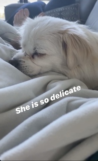 Iliza Shlesinger feet photo thumbnail