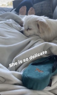 Iliza Shlesinger feet photo thumbnail