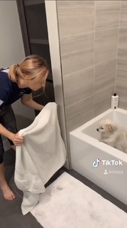 Iliza Shlesinger feet photo thumbnail