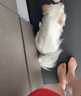 Iliza Shlesinger feet photo thumbnail
