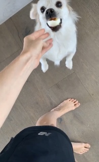 Iliza Shlesinger feet photo thumbnail