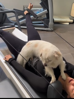 Iliza Shlesinger feet photo thumbnail