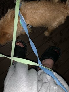 Im Nayeon feet photo thumbnail