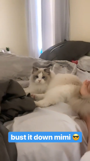 Imane 'Pokimane' Anys feet photo thumbnail