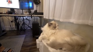 Imane Pokimane Anys feet photo thumbnail