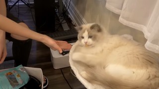Imane Pokimane Anys feet photo thumbnail