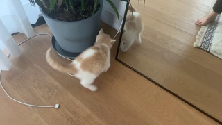 Imane Pokimane Anys feet photo thumbnail