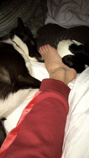 Imogen Waterhouse feet photo 4