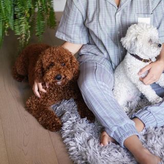 Inanna Sarkis feet photo thumbnail