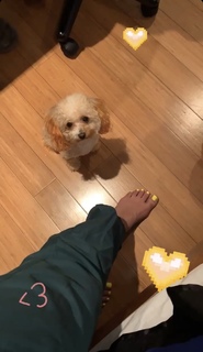 India Love Westbrooks feet photo thumbnail