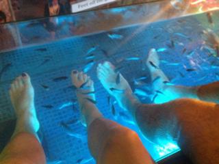 Indra Petersons feet photo 14