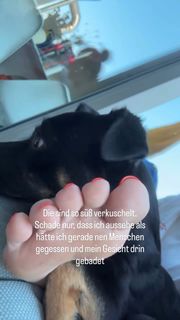 Ines Anioli feet photo thumbnail