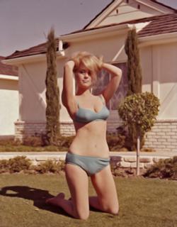 Inger Stevens feet photo 9