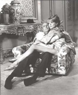 Inger Stevens feet photo 11