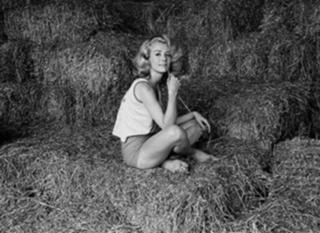 Inger Stevens feet photo 3